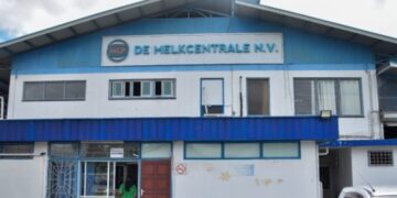 Melkcentrale2 De Unit Strafzaken van politiebureau Herman E. Gooding (voorheen Nieuwe Haven) heeft een grootschalige fraude bij Melkcentrale N.V. blootgelegd. Meer dan 4.000 zakken melkpoeder, ter waarde van circa SRD 17,1 miljoen, zijn sinds 2018 verduisterd. Meerdere medewerkers zijn aangehouden...