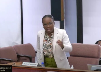 DNA Lid Silvana Afonsoewa van de NDP