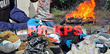 Screenshot 2025 10 18 212901 Onder leiding van een officier van justitie heeft de afdeling Narcotica Brigade van de politie zaterdag 18 oktober 2025 verschillende soorten verdovende middelen verbrand op het terrein te Kraka in het district Para.