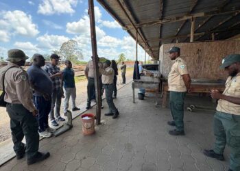 WhatsApp Image 2025 10 07 at 11.38.35 AM "De Energie Bedrijven Suriname heeft geen illegale houten elektriciteitspalen opgekocht. Het bedrijf heeft de juiste procedures gevolgd bij het kopen van materiaal." Dit benadrukte Rajshree Patandin, hoofd afdeling Procurement EBS gisteren tijdens een persmoment op het terrein van het bedrijf te Dijkveld...