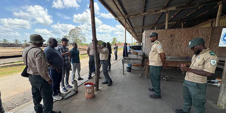 WhatsApp Image 2025 10 07 at 11.38.35 AM "De Energie Bedrijven Suriname heeft geen illegale houten elektriciteitspalen opgekocht. Het bedrijf heeft de juiste procedures gevolgd bij het kopen van materiaal." Dit benadrukte Rajshree Patandin, hoofd afdeling Procurement EBS gisteren tijdens een persmoment op het terrein van het bedrijf te Dijkveld...