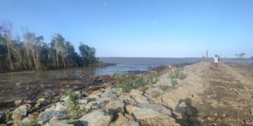 WhatsApp Image 2025 10 10 at 8.55.22 AM 1 Het mangrove-project van Hydroloog Sieuwnath Naipal ten behoeve van de bescherming van de kustlijn, te weg naar zee, zal gecontinueerd worden. Dit bevestigde minister Stephen Tsang van het departement gisteren voor aanvang van de vergadering van het ministersteam.