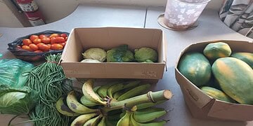 fruit Het ministerie van Landbouw, Veeteelt en Visserij (LVV) heeft op 16 oktober, Wereldvoedseldag, een partij groenten en fruit overhandigd aan Stichting Betheljada. De instelling is voor haar zorg en voeding sterk afhankelijk van donaties, die door de economische situatie teruglopen.