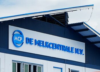 parlementaire commissie bezoekt mcp te midden van staking en vermissing melkpoeder14 Volgens de minister is het aannemelijk dat dit is gebeurd in samenspraak met de directeur, die inmiddels ook is aangehouden. De kasopname zou officieel zijn voorgesteld als een investering in de markoesafabriek die op het terrein van de Melkcentrale wordt gebouwd. “We onderzoeken nu of er vaker geld uit de kas is gehaald ten behoeve van die fabriek en of dat geld daadwerkelijk in het project is geïnvesteerd,” aldus Noersalim.