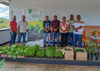 01.Image 2025 11 29 at 12.08.31 Het ministerie van Landbouw, Veeteelt en Visserij (LVV) heeft de dorpsgemeenschap Pikin Saron bezocht en daarbij meer dan 1000 groente- en fruitplantjes gedoneerd om zelfredzaamheid en voedselzekerheid te stimuleren.