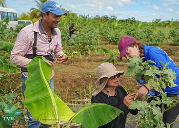 20251119 DSC09500 Het ministerie van Landbouw, Veeteelt en Visserij (LVV) krijgt internationale ondersteuning bij de bestrijding van hardnekkige insectenplagen die de Surinaamse landbouw en export bedreigen. Afgelopen week was in Suriname een vervolgmissie van het FAO-project TCP/SUR/4002 – Integrated Pest Management and Biological Control for Sustainable Crop Production.