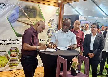 FOTO 1 InVitroPlants Grassalco N.V. (IVP), dochteronderneming van staatsmijnbouwbedrijf N.V. Grassalco, heeft op vrijdag 14 november een memorandum of understanding (MoU) getekend met het Guyanese bedrijf Modern Agri.
