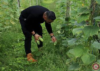 Minister Ramsaran streeft ernaar om agrarisch bedrijf verder te ontwikkelen tot modern en zelfstandig opererend agrarisch centrum7 Minister van Defensie Uraiqit Ramsaran heeft donderdag een werkbezoek gebracht aan het Agrarisch Bedrijf Defensie te Von Freyburg in het district Saramacca. Tijdens het bezoek sprak hij zijn waardering uit voor de inzet van de militairen en gaf hij aan het bedrijf verder te willen ontwikkelen tot een modern en zelfstandig opererend agrarisch centrum binnen het ministerie.