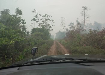 De weg van Nickerie naar Apoera