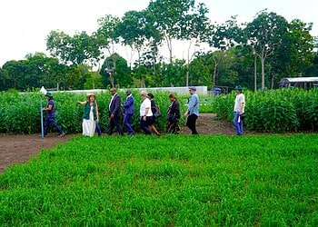 WhatsApp Image 2025 11 09 at 17.42.04 2 Een Surinaamse delegatie onder leiding van minister Melvin Bouva van Buitenlandse Zaken, Internationale Handel en Samenwerking (BIS) heeft in de week van 7 november 2025 een oriëntatiebezoek gebracht aan EMBRAPA, het toonaangevende Braziliaanse instituut voor agrarische productie en onderzoek.