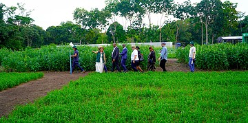 WhatsApp Image 2025 11 09 at 17.42.04 2 Een Surinaamse delegatie onder leiding van minister Melvin Bouva van Buitenlandse Zaken, Internationale Handel en Samenwerking (BIS) heeft in de week van 7 november 2025 een oriëntatiebezoek gebracht aan EMBRAPA, het toonaangevende Braziliaanse instituut voor agrarische productie en onderzoek.