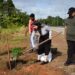2025.12.04 BIS 02 DIS UN Tree planting ceremony Chandnani Suriname viert 50 jaar VN-lidmaatschap met een symbolische boomplantactie langs de D.D. Bouterse Highway, waarbij duurzaamheid en toekomstgerichte samenwerking centraal staan in een groen jubileumsymbool voor de jeugd - Lees meer en laat een reactie achter...