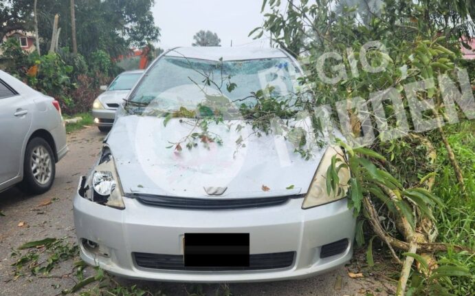 607058978 122335208552001925 7870142392833309608 n e1767059673214 Een boomtak viel zondag op een auto aan de Magentaweg, gelukkig zonder gewonden. Lees verder voor meer details over dit onverwachte voorval.