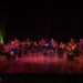 VIOLIN NIGHT 146 Vier World Violin Day op 13 december in Theater Thalia met een uniek concert vol klassieke en moderne vioolklanken. Ontdek het volledige programma in het ....