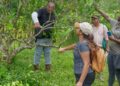 lvv 2 LVV versterkt citruskennis met een praktische vierdaagse training in Saramacca. Ontdek hoe dit bijdraagt aan duurzame groei in de sector. Lees meer in het artikel!