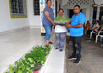 LVV stimuleert zelfvoorzienendheid en gezonde levensstijl onder senioren Blauwgrond 3 Senioren van Shri Radha Krishna Mandir ontvingen groenteplantjes van LVV om zelfvoorzienendheid en gezondheid te stimuleren. Lees verder voor meer