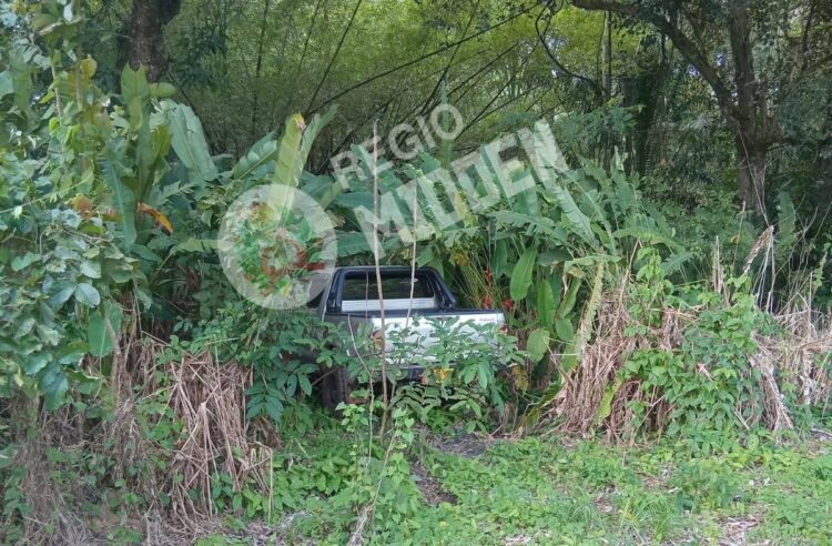 640931208 122312820860011040 7041635067595488023 n e1771802828622 POLITIEK & ECONOMIE | MISDAAD & POLITIE | INGEZONDEN | COLUMN & OPINIE | ENTERTAINMENT | SPORT | GEZONDHIED | KEY NEWS |