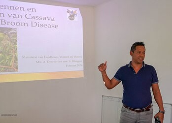 DSC01585 1 1536x864 1 Het ministerie van Landbouw, Veeteelt en Visserij waarschuwt dat  Cassava Witches Broom Disease (CWBD) een ernstige bedreiging vormt voor de cassaveteelt, omdat de ziekte zich snel kan verspreiden. Daarom wordt nadrukkelijk opgeroepen om voorzorgsmaatregelen strikt na te leven, zodat kruisbesmetting wordt voorkomen.