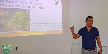 DSC01585 1 1536x864 1 Het ministerie van Landbouw, Veeteelt en Visserij waarschuwt dat  Cassava Witches Broom Disease (CWBD) een ernstige bedreiging vormt voor de cassaveteelt, omdat de ziekte zich snel kan verspreiden. Daarom wordt nadrukkelijk opgeroepen om voorzorgsmaatregelen strikt na te leven, zodat kruisbesmetting wordt voorkomen.