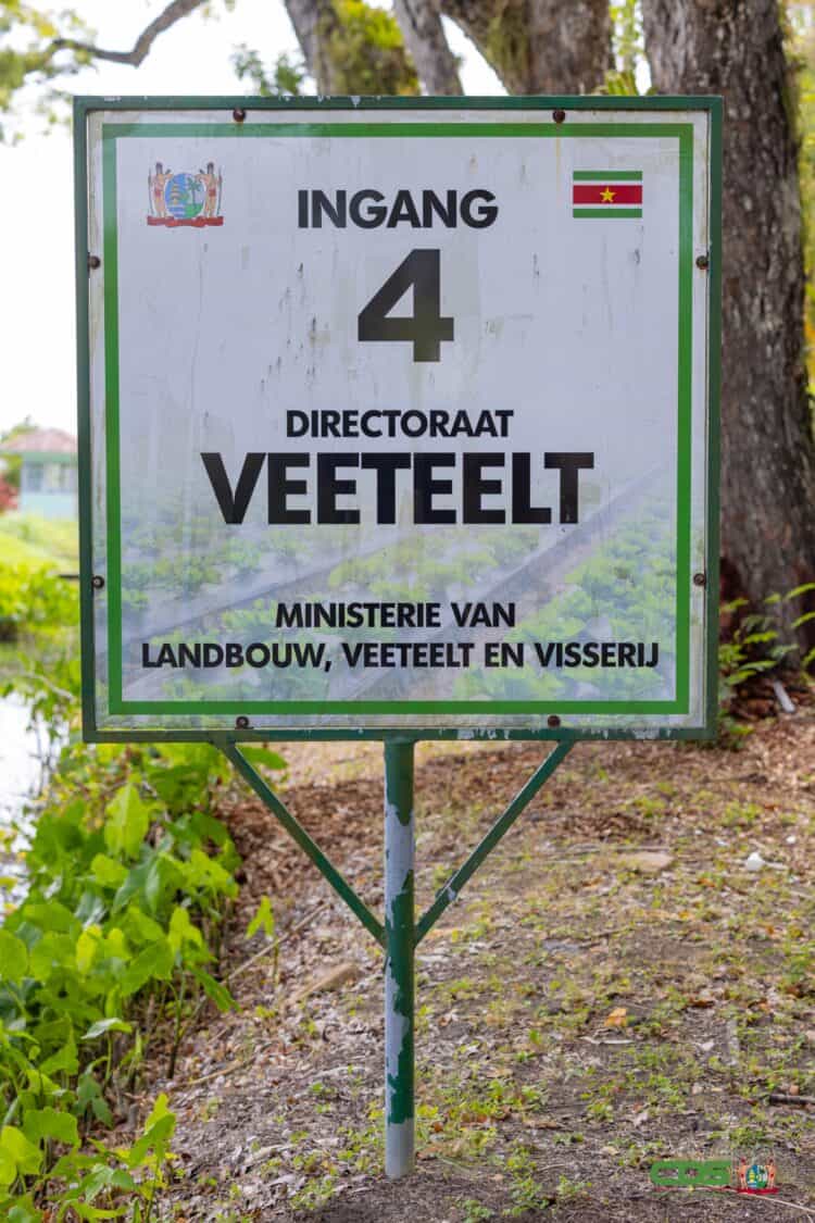 LVV start landelijke pluimveetrainingen voor jongeren en startende kwekers 2 POLITIEK & ECONOMIE | MISDAAD & POLITIE | INGEZONDEN | COLUMN & OPINIE | ENTERTAINMENT | SPORT | GEZONDHIED | KEY NEWS |