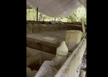 Screenshot 2026 02 14 133931 Daarnaast trof de eenheid een duikboot in aanbouw aan, omschreven als een “self propelled semi-submersible” (SPSS). Volgens een inschatting op basis van de omvang zou het vaartuig geschikt kunnen zijn om meer dan 10 ton cocaïne te vervoeren.