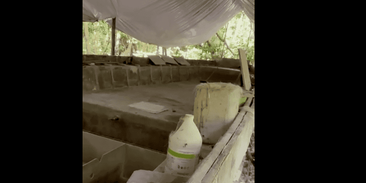 Illegale landingsbaan en in aanbouw zijnde duikboot ontdekt bij operatie in omgeving Witagron 1 Screenshot 2026 02 14 133931 Daarnaast trof de eenheid een duikboot in aanbouw aan, omschreven als een “self propelled semi-submersible” (SPSS). Volgens een inschatting op basis van de omvang zou het vaartuig geschikt kunnen zijn om meer dan 10 ton cocaïne te vervoeren.