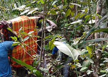 zoekactie melvin Ondanks het opschalen van de inzet heeft de zoekactie naar de 24-jarige Melvin van der Tap tot nu toe niets opgeleverd. Hij is inmiddels voor de vierde dag vermist in het bosgebied bij Zanderij.