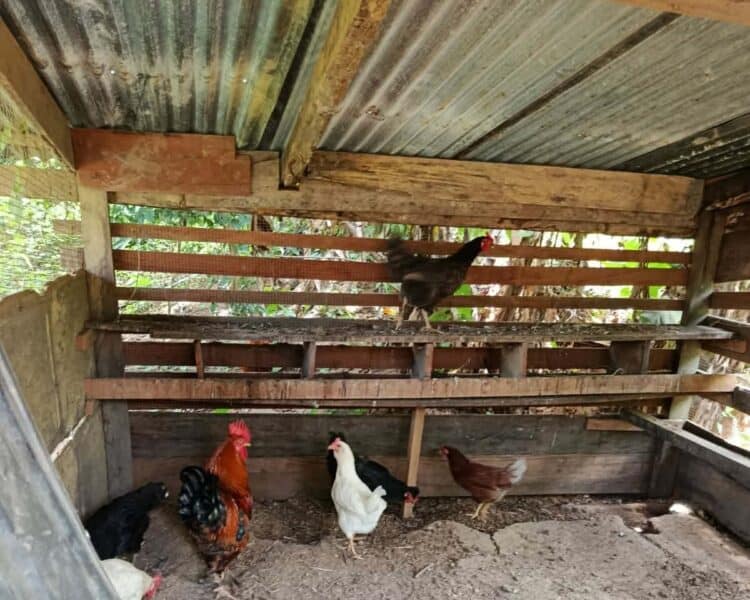 29a8e7ea f25f 43e6 88ed 72fe99c303d0 POLITIEK & ECONOMIE | MISDAAD & POLITIE | INGEZONDEN | COLUMN & OPINIE | ENTERTAINMENT | SPORT | GEZONDHIED | KEY NEWS |