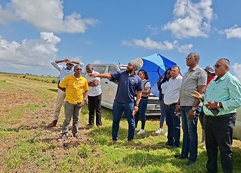Members of the project team and officials from the Guyana Rice Development Board (GRDB) in the rice fields of the Research Centre in Burma, Guyana