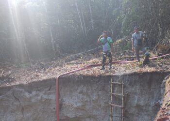 WhatsApp Image 2026 03 02 at 9.25.29 AM e1772485287823 Stichting Mulokot meldt in een nieuw bodemrapport dat op meerdere goudmijnlocaties in het Lawa-gebied nauwelijks tot geen meetbaar DNA van schimmels en bacteriën is gevonden. Volgens de onderzoekers wijst dat op een ‘biologisch dode’ bodem, met risico’s voor natuurherstel en voedselzekerheid.