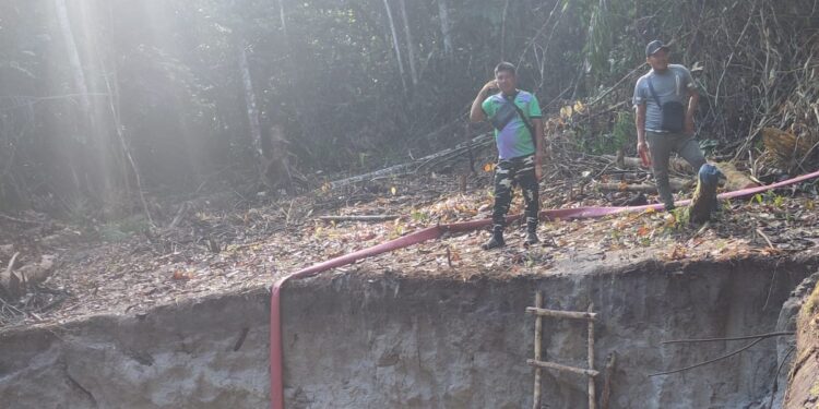 WhatsApp Image 2026 03 02 at 9.25.29 AM e1772485287823 Stichting Mulokot meldt in een nieuw bodemrapport dat op meerdere goudmijnlocaties in het Lawa-gebied nauwelijks tot geen meetbaar DNA van schimmels en bacteriën is gevonden. Volgens de onderzoekers wijst dat op een ‘biologisch dode’ bodem, met risico’s voor natuurherstel en voedselzekerheid.