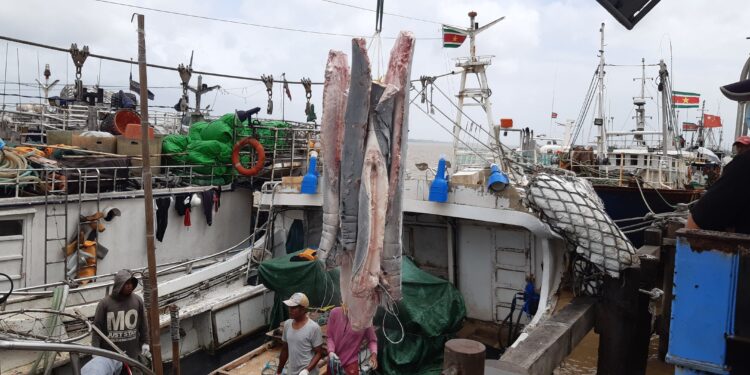 20210204 143700 De Raad van Toezicht van het Viskeuringsinstituut presenteert 49 pagina’s bankafschriften als bewijs van financiële misstanden door voormalig directeur Juliette Colli-Wongsoredjo ....