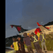 Screenshot 2026 04 14 203147 Een Trans Guyana Airways-vliegtuig raakte zwaar beschadigd na een uitwijkmanoeuvre voor een capibara tijdens de landing op Ogle Airport in Guyana. Niemand raakte gewond ....