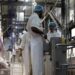 708089089 1303078358663285 4893431599954844217 n Op de eerste dag van Eid-Ul-Adha zijn ruim 110 runderen geslacht onder strikte gezondheidscontroles. Het proces verloopt zorgvuldig en volgens strenge richtlijnen. Lees verder voor alle details.