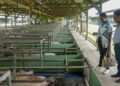 DSC03032 Suriname en Barbados versterken hun agrarische samenwerking met focus op export, technische kennisdeling en voedselzekerheid, ondersteund door concrete afspraken en een strak tijdpad ....