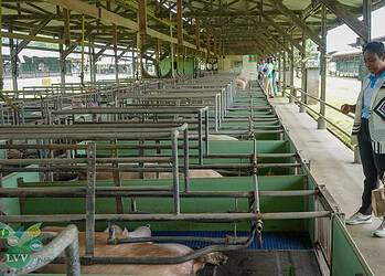 DSC03032 Suriname en Barbados versterken hun agrarische samenwerking met focus op export, technische kennisdeling en voedselzekerheid, ondersteund door concrete afspraken en een strak tijdpad ....
