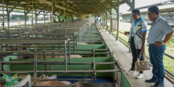 DSC03032 Suriname en Barbados versterken hun agrarische samenwerking met focus op export, technische kennisdeling en voedselzekerheid, ondersteund door concrete afspraken en een strak tijdpad ....