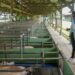 DSC03032 Suriname en Barbados versterken hun agrarische samenwerking met focus op export, technische kennisdeling en voedselzekerheid, ondersteund door concrete afspraken en een strak tijdpad ....