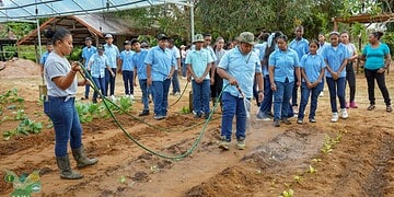 DSC03640 1536x864 1 Leerlingen van Pandit Soerdjpal Ramjatanschool maakten kennis met duurzame landbouw tijdens Wereld Plantendag op LVV-kwekerij Tamansari, waar herstel en educatie hand in hand gaan. Lees meer over dit inspirerende initiatief.