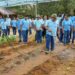 Wereld Plantendag bij LVV-kwekerij Tamansari: leerlingen maken kennis met landbouw 11 DSC03640 1536x864 1 Leerlingen van Pandit Soerdjpal Ramjatanschool maakten kennis met duurzame landbouw tijdens Wereld Plantendag op LVV-kwekerij Tamansari, waar herstel en educatie hand in hand gaan. Lees meer over dit inspirerende initiatief.