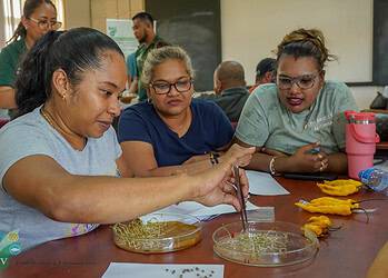 DSC03994 Landbouwers kregen training in lokale zaadproductie om opbrengsten te verhogen en importafhankelijkheid te verminderen. Ontdek hoe deze kennis bijdraagt aan duurzame landbouw in Suriname. Lees meer in het volledige artikel.