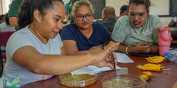 DSC03994 Landbouwers kregen training in lokale zaadproductie om opbrengsten te verhogen en importafhankelijkheid te verminderen. Ontdek hoe deze kennis bijdraagt aan duurzame landbouw in Suriname. Lees meer in het volledige artikel.