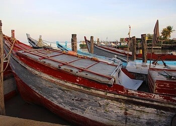 SK boten Op World Fish Migration Day benadrukt LVV het belang van vrije visroutes en bescherming van mangroves voor een gezonde visstand in Suriname. Lees verder voor meer over deze belangrijke maatregelen.