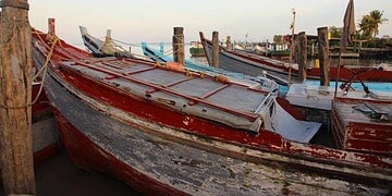 SK boten Op World Fish Migration Day benadrukt LVV het belang van vrije visroutes en bescherming van mangroves voor een gezonde visstand in Suriname. Lees verder voor meer over deze belangrijke maatregelen.