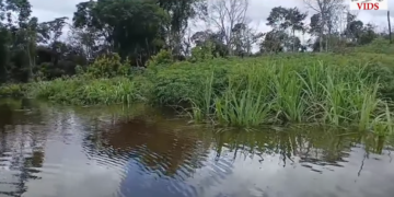 Screenshot 2026 05 02 114906 Meerdere dorpen in Zuid-Suriname, waaronder Tepu, kampen met ernstige overstromingen waardoor woningen, kostgronden en drinkwatersystemen beschadigd zijn ....