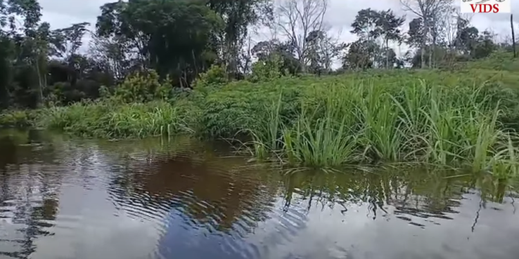 Screenshot 2026 05 02 114906 Meerdere dorpen in Zuid-Suriname, waaronder Tepu, kampen met ernstige overstromingen waardoor woningen, kostgronden en drinkwatersystemen beschadigd zijn ....