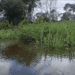 Screenshot 2026 05 02 114906 Meerdere dorpen in Zuid-Suriname, waaronder Tepu, kampen met ernstige overstromingen waardoor woningen, kostgronden en drinkwatersystemen beschadigd zijn ....
