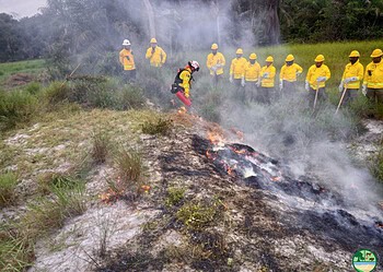WhatsApp Image 2026 05 05 at 8.08.43 PM De Train-de-Trainer opleiding Geïntegreerd Brandbeheer in Zanderij versterkt de samenwerking en capaciteit van Surinaamse instanties in brandpreventie en incidentmanagement ....