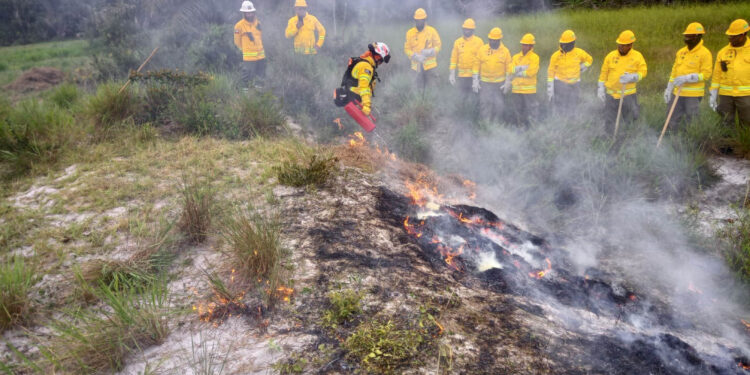 WhatsApp Image 2026 05 05 at 8.08.43 PM De Train-de-Trainer opleiding Geïntegreerd Brandbeheer in Zanderij versterkt de samenwerking en capaciteit van Surinaamse instanties in brandpreventie en incidentmanagement ....