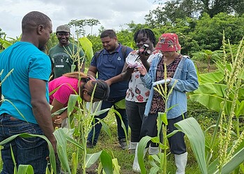lvv training west LVV-voorlichters in Nickerie en Coronie zijn getraind in bodemanalyse met geavanceerde testkits, waardoor landbouwers nu gericht en wetenschappelijk onderbouwd advies ontvangen ....